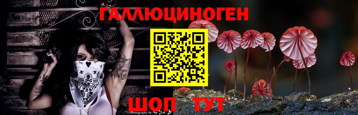 Галлюциногенные грибы ЛСД  Галлюциногенные грибы GOLDEN TEACHER  Салехард  Вход с VPN 
